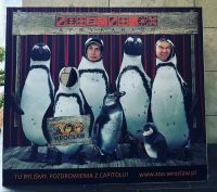 29AB5F19-BBC5-4E17-ACB2-1D10EBF55F66