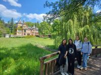 489729534 1717270542498188 4209598584588396260 n