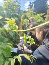 489730196 2574239642967987 6193857103073113745 n