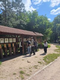 489731103 1220929766288072 4833474081375638939 n