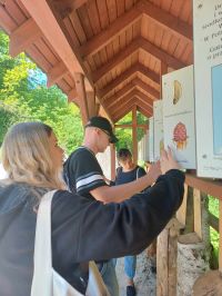 489731104 670802582584942 7004006596438766281 n