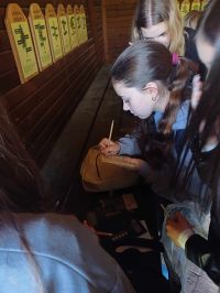 489732914 648796014690223 1236069472052122831 n