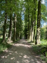 494357854 1087084813255013 4085808295978776736 n