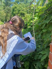 494828426 1939362373266112 8308028488899695316 n