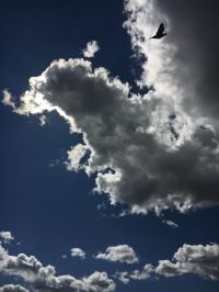 IMG-0144