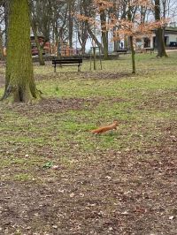 IMG 2963